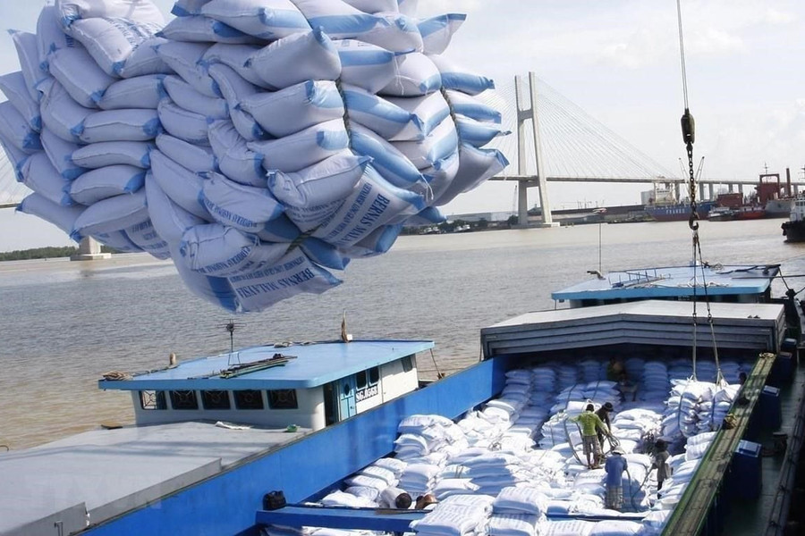 Ấn Độ cấm xuất khẩu gạo, doanh nghiệp được khuyến cáo gì