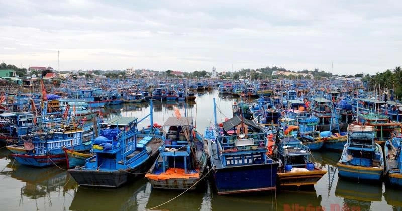 Sóng đánh chìm thuyền ở biển Bình Thuận, một ngư dân mất tích
