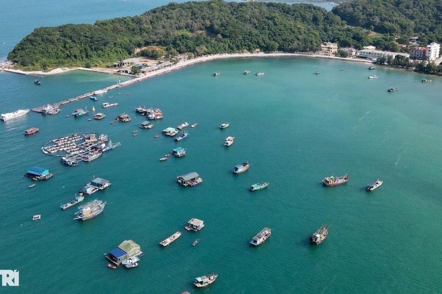 Cử tri Quảng Ninh than nỗi khổ của cán bộ xã đảo