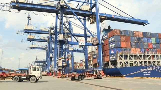 Hơn 1.000 container hàng hóa nhập khẩu 'ăn vạ' tại cảng Cát Lái