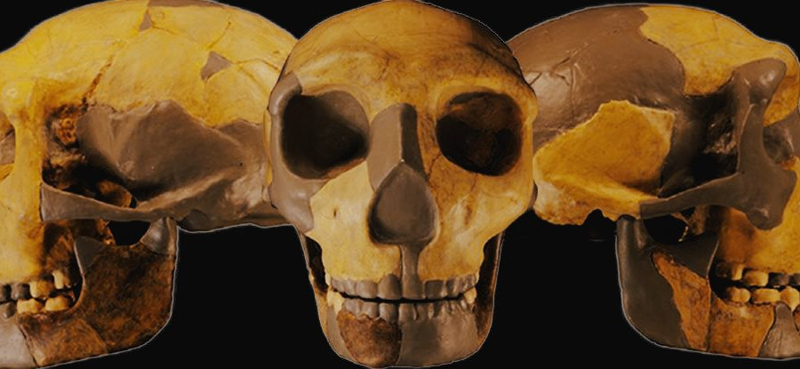 Hộp sọ người cổ đại được tìm thấy ở Trung Quốc