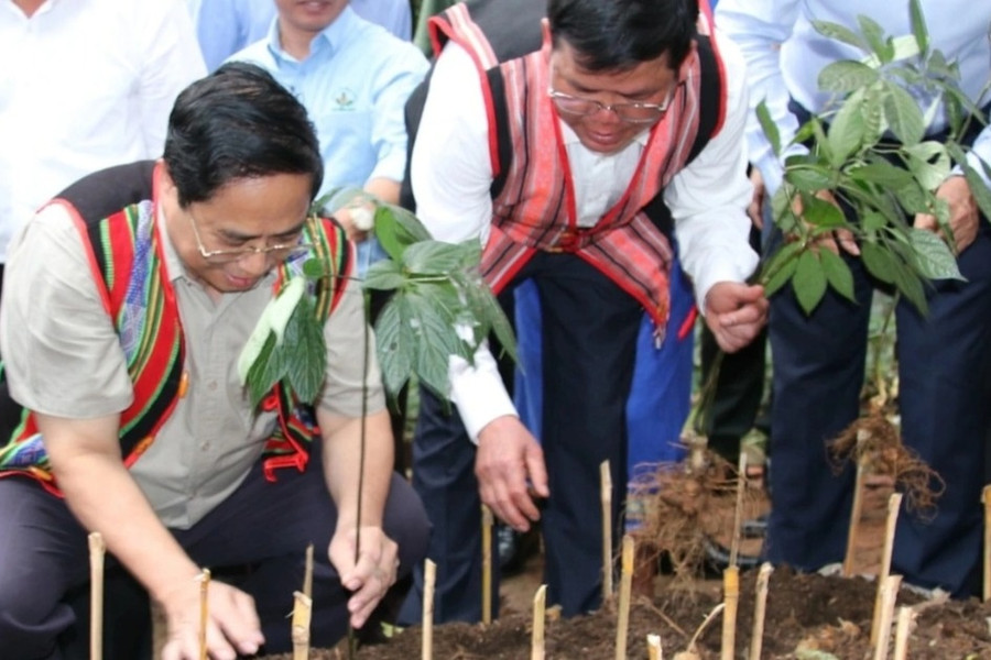 Thủ tướng Phạm Minh Chính thăm vùng trồng sâm Ngọc Linh