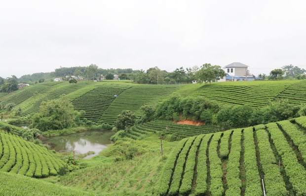 Phát triển du lịch sinh thái, hướng đi mới của huyện Đại Từ, Thái Nguyên