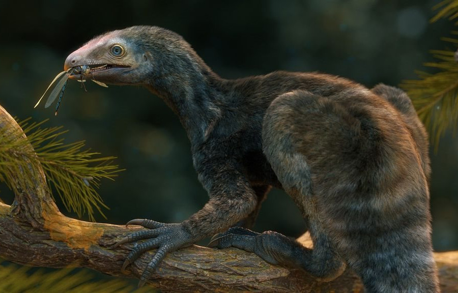 Phát hiện sinh vật cổ đại 230 triệu năm tuổi tại Brazil