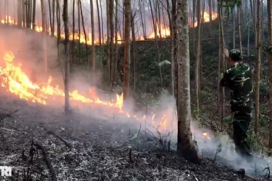 Người đàn ông tử vong khi tham gia chữa cháy rừng ở Phú Yên