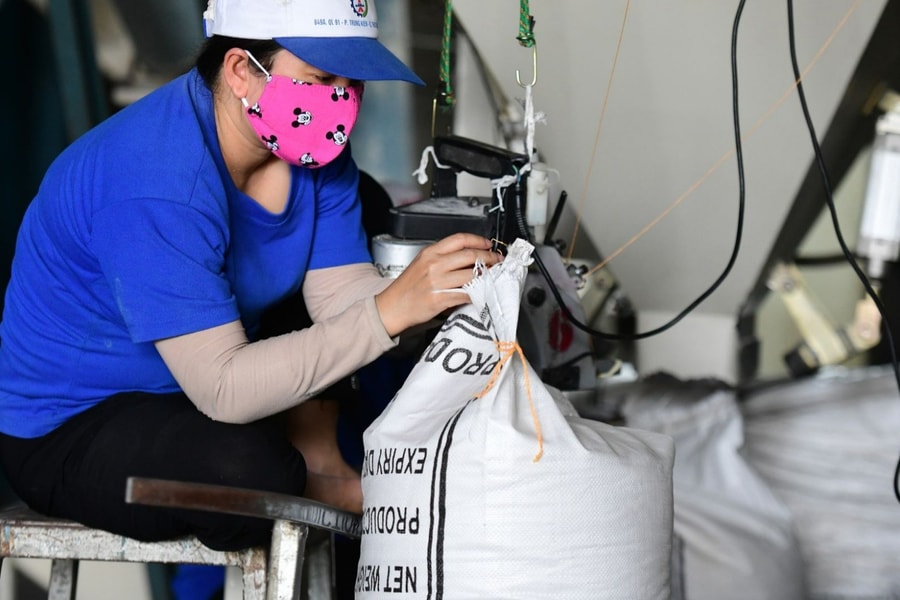 Giá gạo xuất khẩu giảm mạnh, doanh nghiệp Việt vẫn trúng hợp đồng lớn giá cao