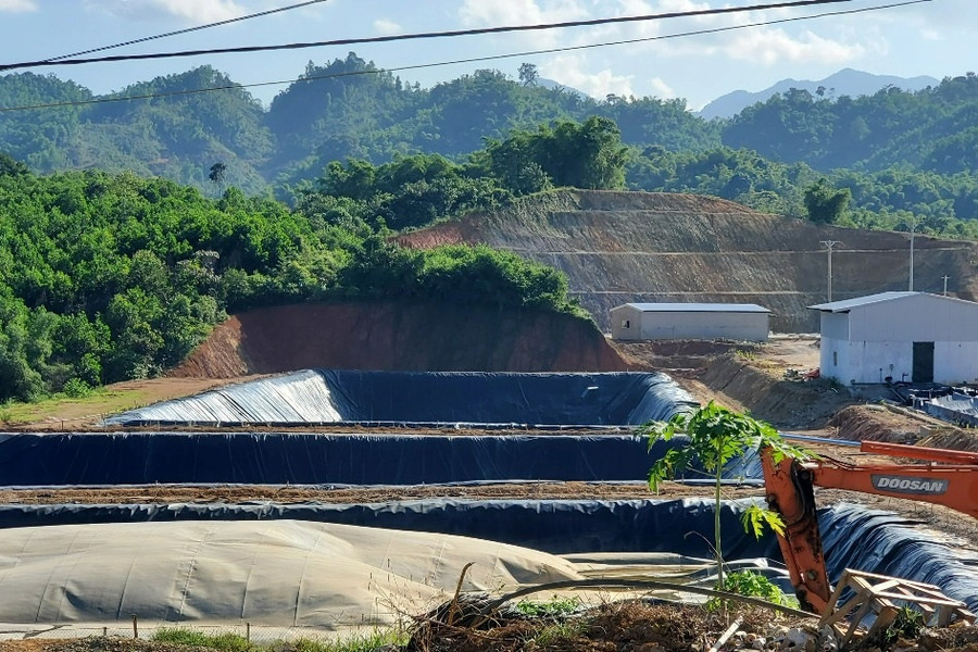 Đóng cửa, trùm chăn ngăn mùi hôi thối từ trang trại lợn