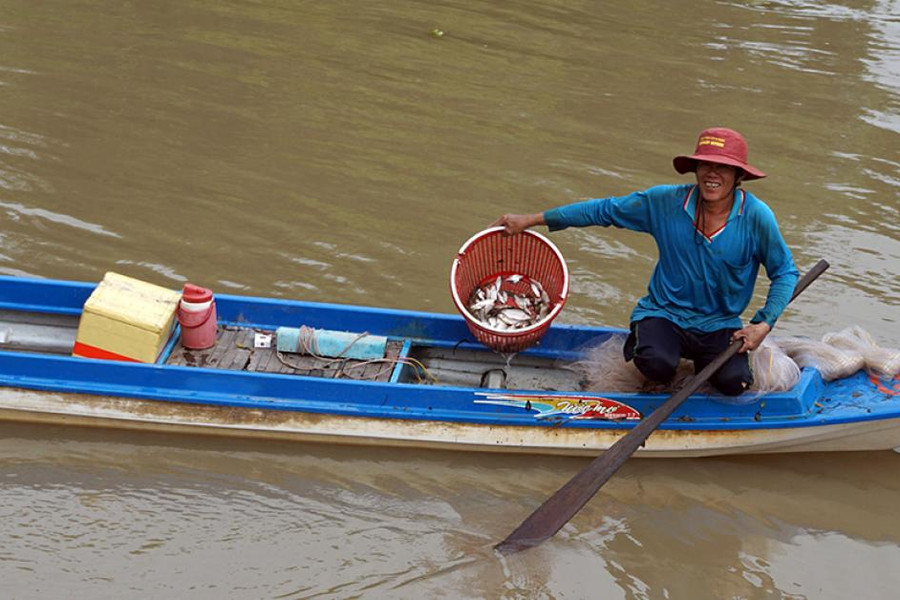 Mùa nước nổi: Cá, tôm, chuột, rắn… đua nhau chạy vào!