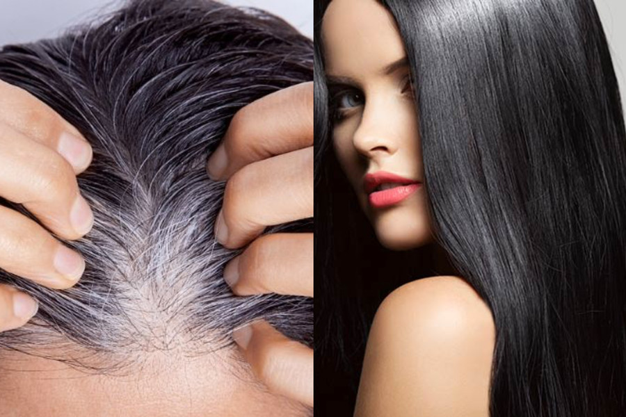 9 dưỡng chất giúp tóc bạc nhanh chóng đen trở lại