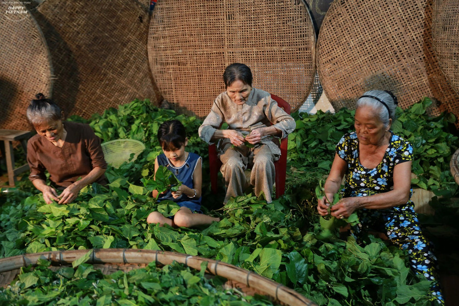 Lưu giữ nghề truyền thống trồng dâu nuôi tằm ở Quảng Nam