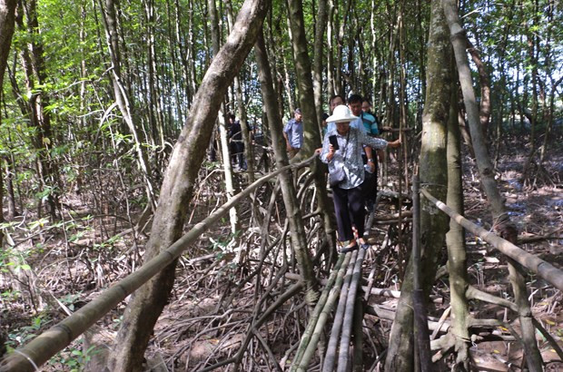 Khai thác tiềm năng du lịch 'xanh' trên đất Cù Lao Dung