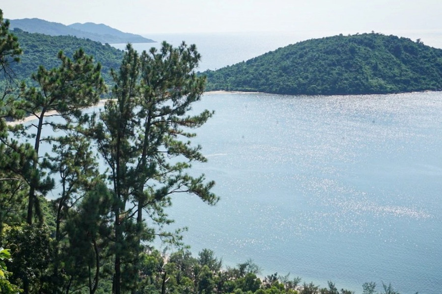 Đà Nẵng chuyển mục đích gần 80ha đất rừng trồng sang làm dự án