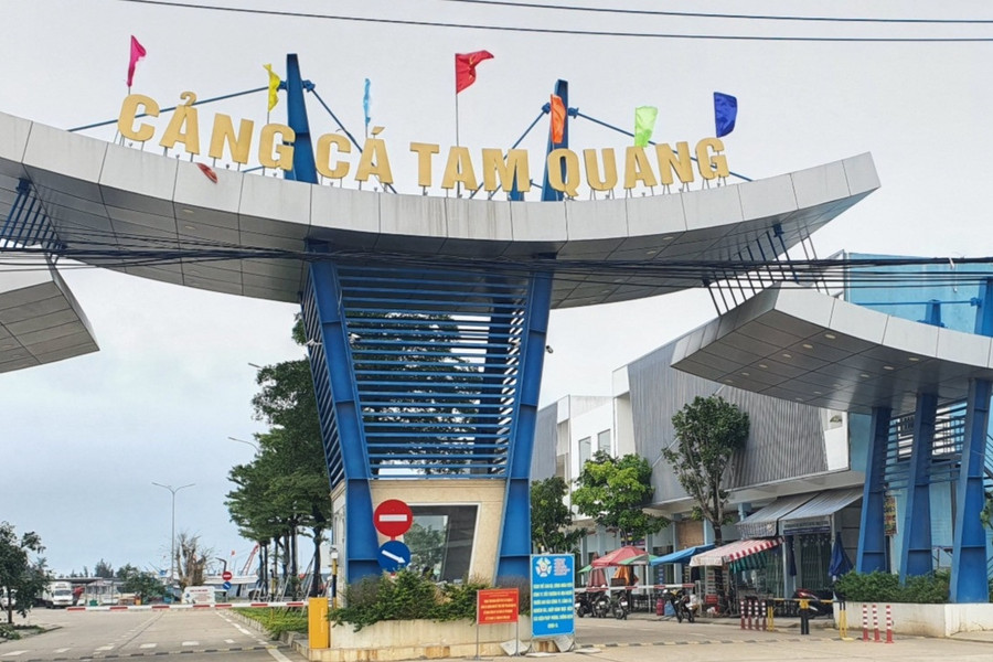 Quảng Nam đầu tư hơn 130 tỷ đồng nâng cấp cảng cá Tam Quang