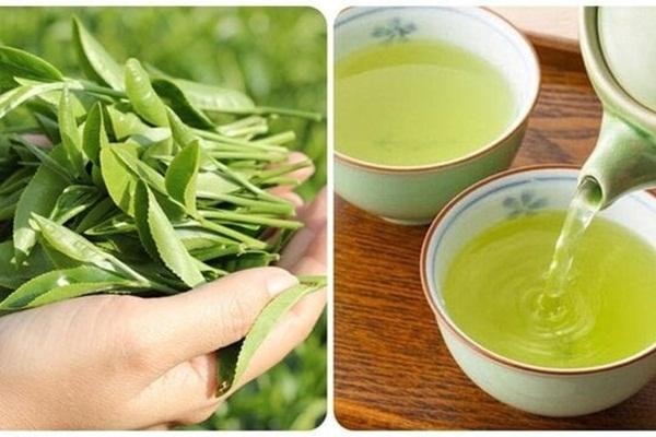 Công dụng của nước chè xanh với sức khoẻ