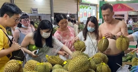 ‘Chiếc bánh’ sầu riêng 20 tỷ USD: 4 nước chia phần, ưu thế nổi trội của Việt Nam