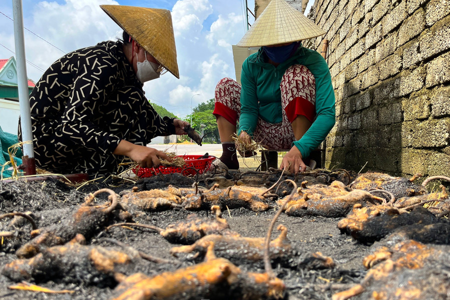 Chợ chuột lớn nhất Nghệ An, mỗi ngày tiêu thụ cả tấn