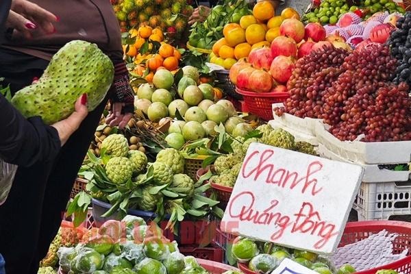 Giá chanh Quảng Đông - Trung Quốc lao dốc khi trà chanh giã tay hết 'trend'