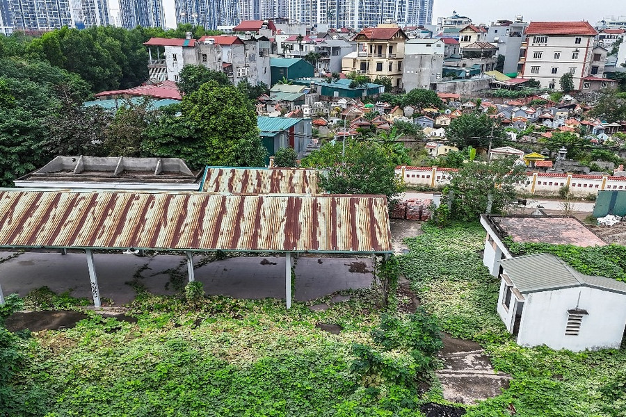 Cỏ mọc um tùm, rác chất đống ở hàng loạt chợ tiền tỷ bị bỏ hoang tại Hà Nội