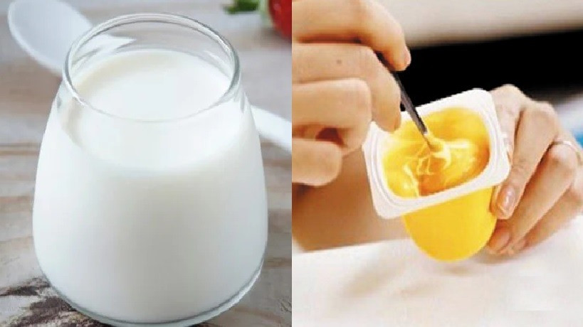 Loại sữa, chế phẩm từ sữa giúp giảm axit uric