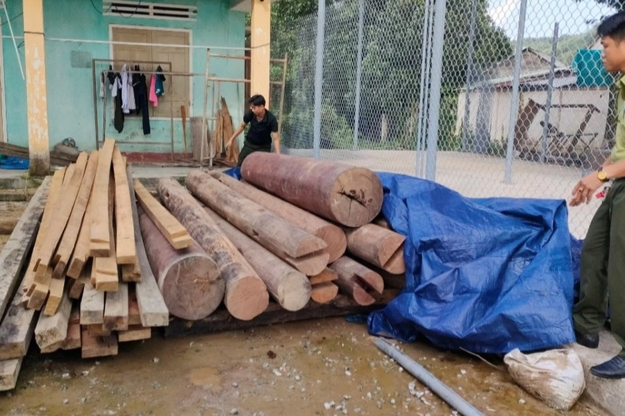 Vụ gỗ lậu giấu trên đất Trưởng phòng Nội vụ: Phạt chủ gỗ 37,5 triệu đồng