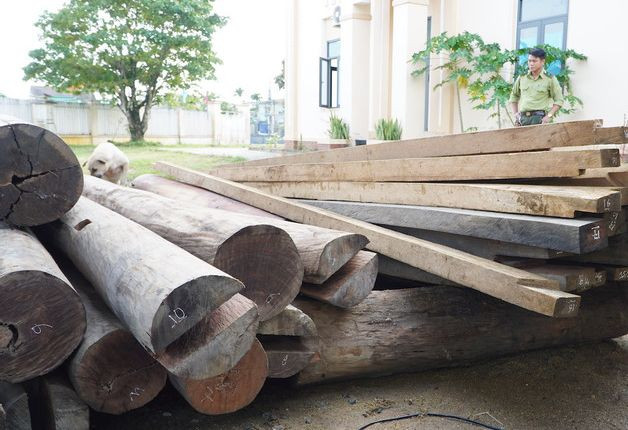 Tin mới vụ gỗ lậu trên đất của Trưởng phòng Nội vụ ở Quảng Nam