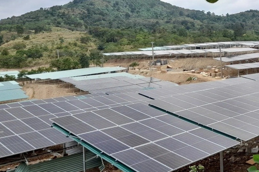 Chuyển Bộ Công an hồ sơ vi phạm của Nhà máy điện mặt trời tại Đắk Lắk