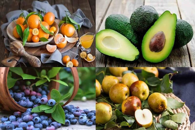 5 chất dinh dưỡng có trong trái cây tốt cho xương khớp