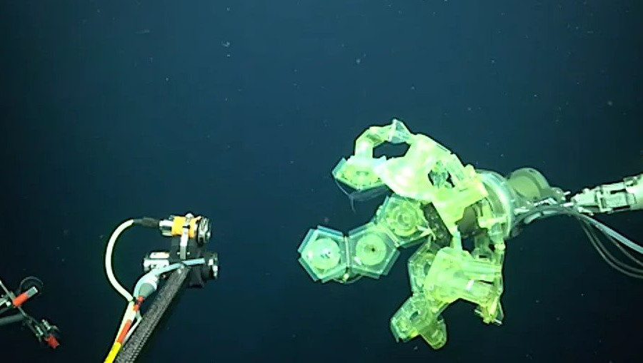 Công nghệ mới trong nghiên cứu sinh vật biển sâu vừa được công bố






