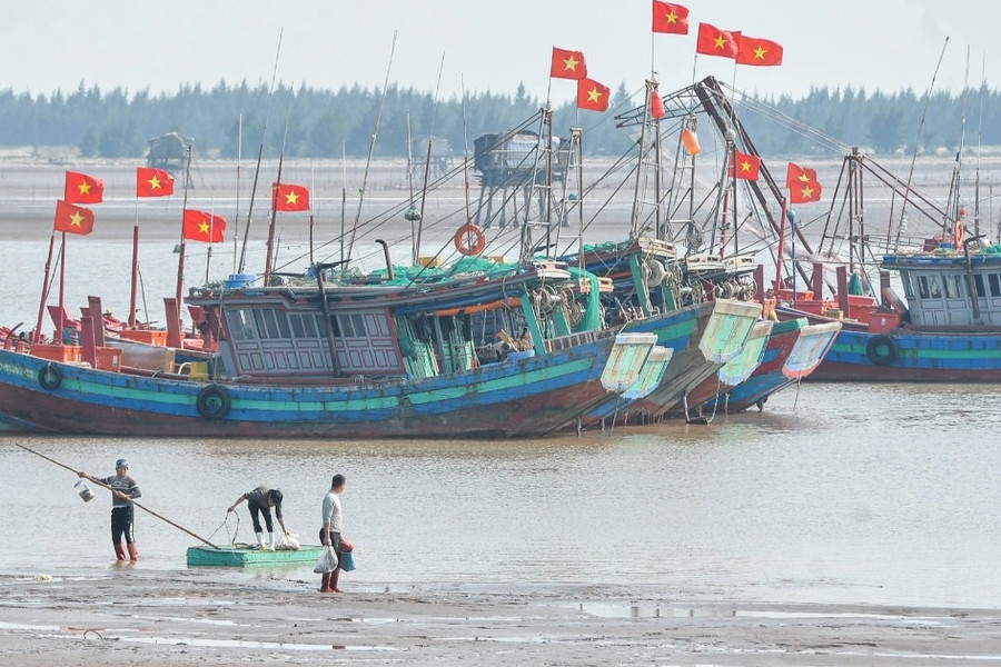 'Xông biển' mùng 1 Tết, ngư dân kiếm tiền triệu