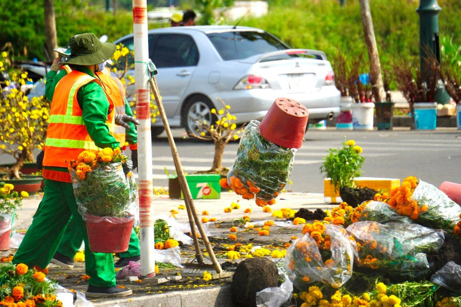 Đập bỏ hoa chiều 30 Tết: Ai dạy ai bài học?