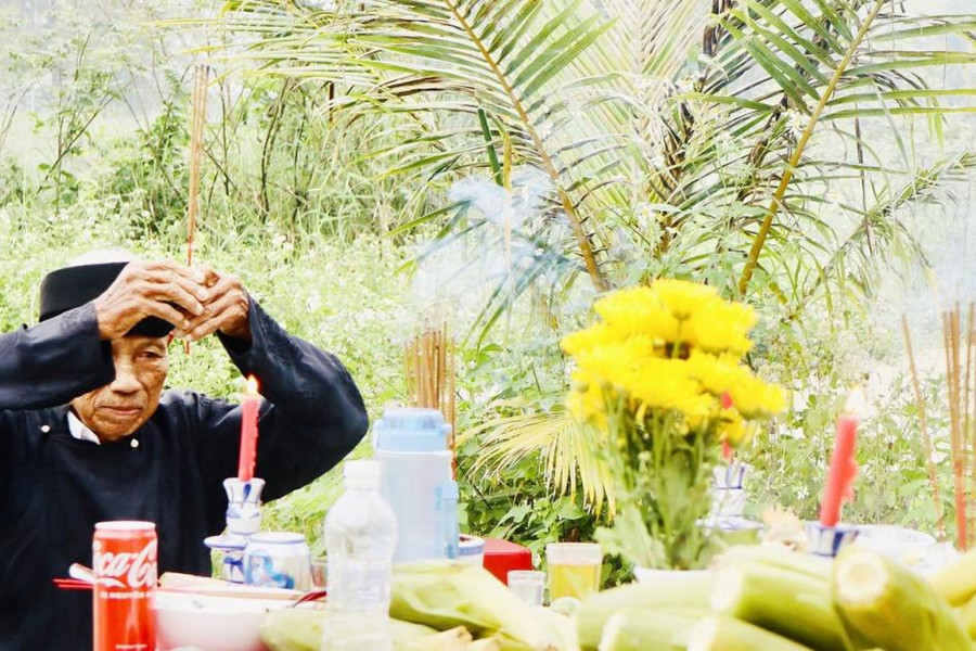 Loại bắp nếp thơm ngon độc đáo ở Quảng Nam