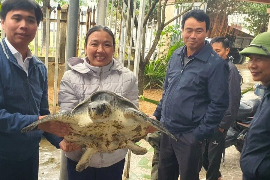 Hành động bất ngờ của ông chủ vựa hải sản sau khi mua con rùa nặng 18kg