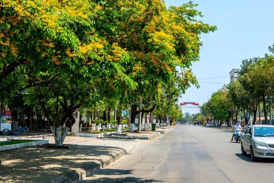 Bộ Công an yêu cầu Quảng Nam cung cấp tài liệu dự án trồng cây xanh