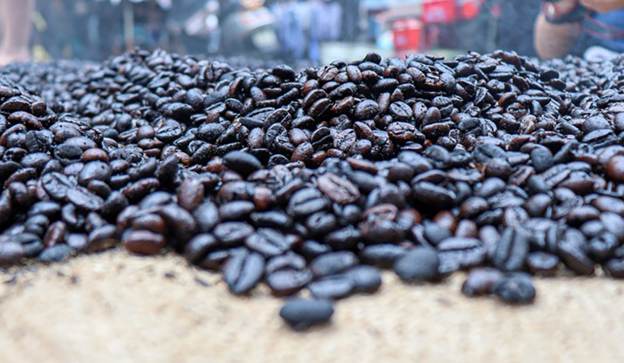 Giá cà phê cao nhất mọi thời đại, doanh nghiệp xuất khẩu ‘gồng lỗ’ nặng