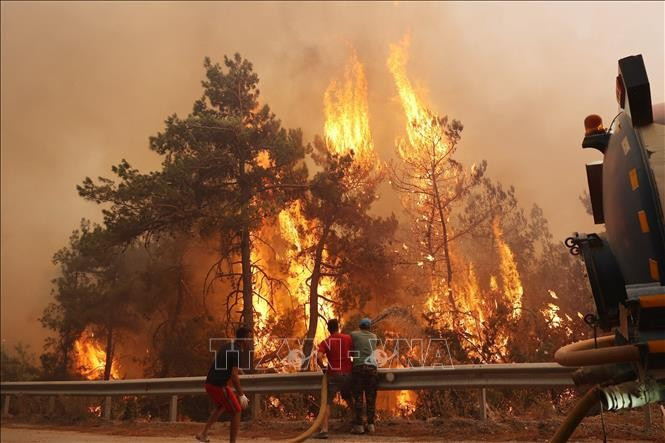 Năm 2023 là năm cháy rừng tồi tệ bậc nhất thế kỷ đối với châu Âu