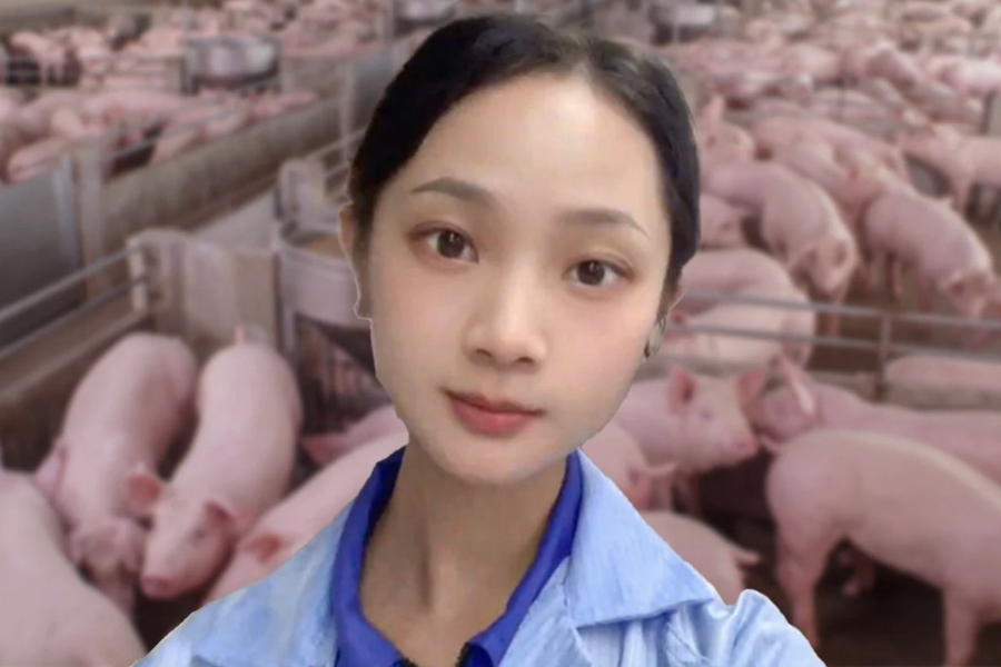 Nữ cử nhân gây sốt mạng khi bỏ công việc văn phòng về quê nuôi lợn