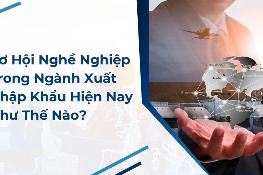 Học xuất nhập khẩu có dễ xin việc không? Cơ hội việc làm thế nào