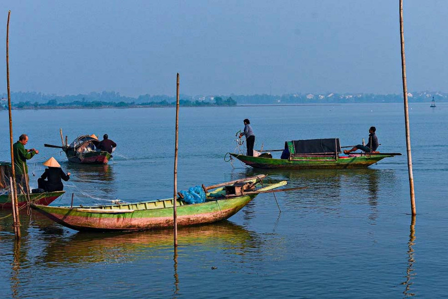 Sông Lam, mùa săn cá trích mòi ‘nửa sông, nửa biển’