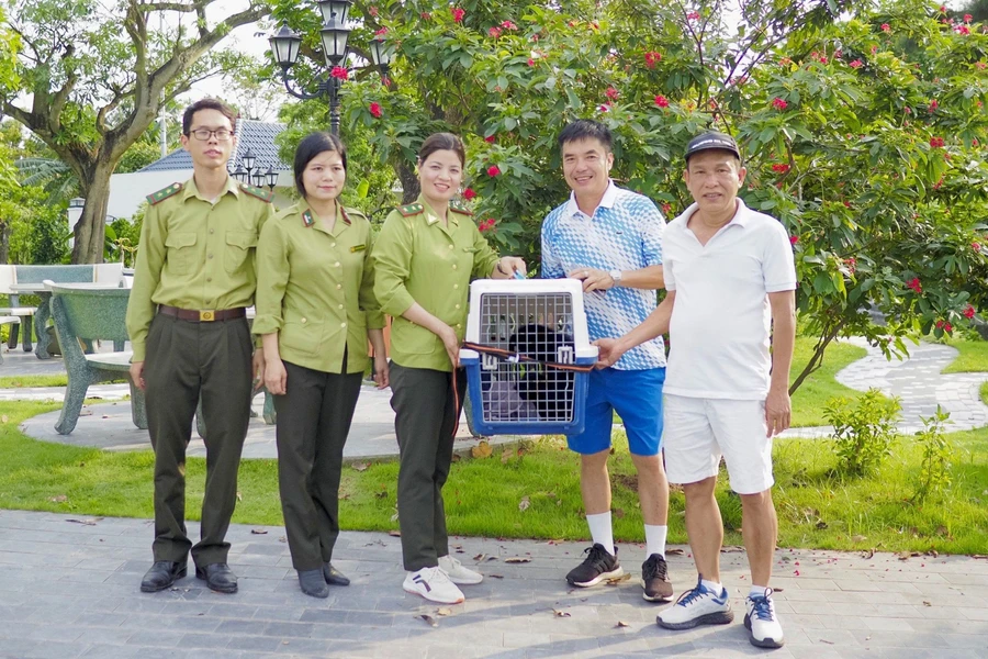 Vườn quốc gia Cúc Phương cứu hộ Vượn đen má hung cực kỳ quý hiếm