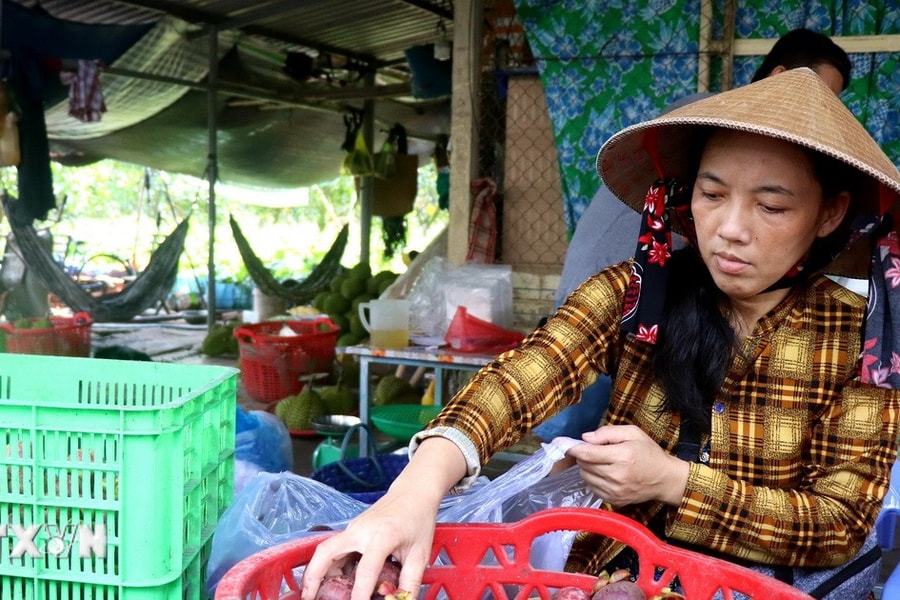 Bình Dương: Giá măng cụt tăng cao do sản lượng giảm mạnh