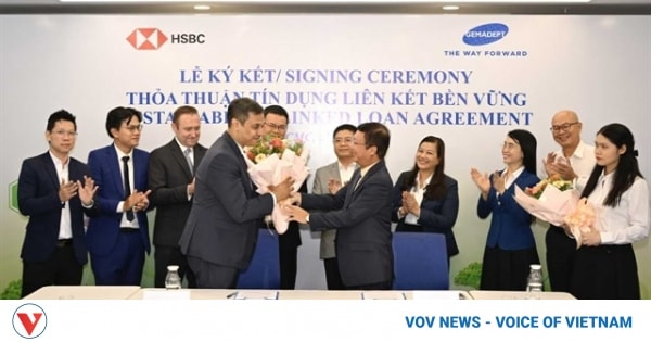 HSBC Vietnam provides loan to Gemadept