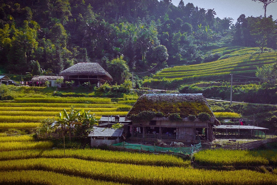 Say đắm lòng người với vẻ đẹp thiên nhiên Xà Phìn