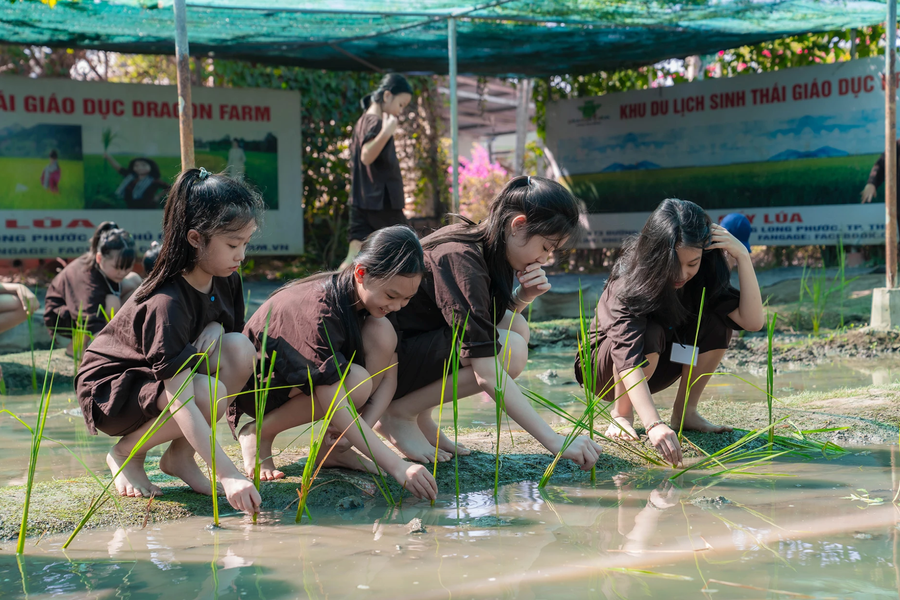 Lạc vào ma trận các khoá học hè, nhiều phụ huynh loay hoay sập bẫy