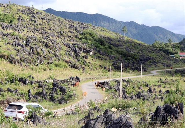 The tranquil beauty of Tả Phìn plateau lures tourists to Điên Biên