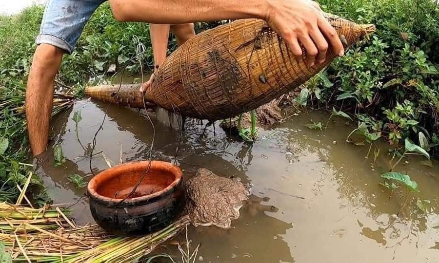 Một thế hệ đang dần biến mất