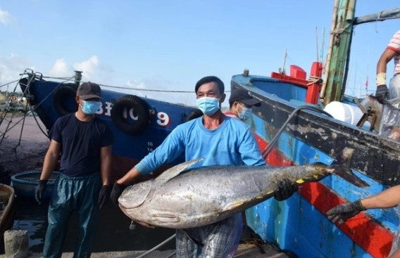 Binh Dinh Festival to promote sea tuna delicacies