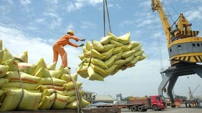 Vietnam's rice exports rise in first half of 2024