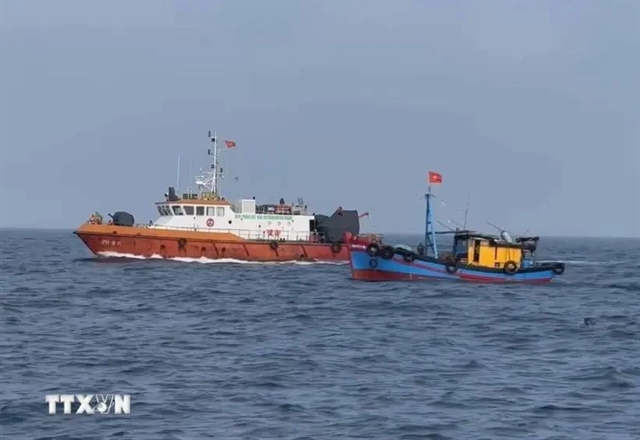 Quảng Trị: Non-stop fishing vessel monitoring proves effective in IUU fishing combat