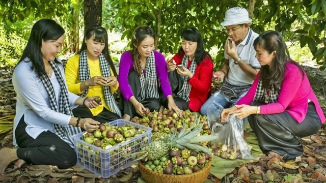 Bình Dương ripe fruit festival offers a bite at the cherry for tourists