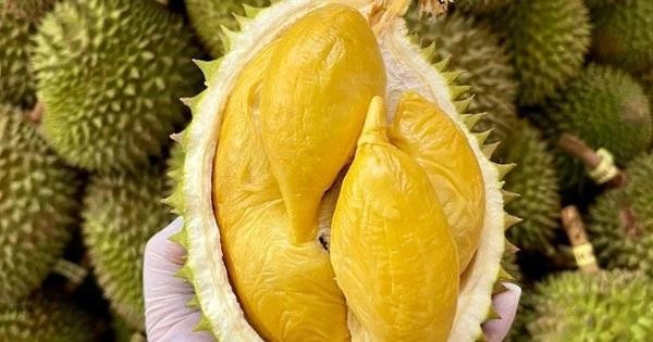 Durian exports forecast to top US$3 billion in 2024